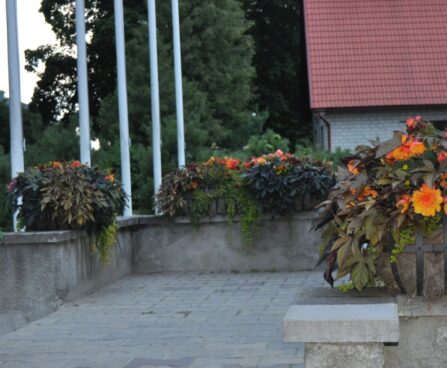 ilubataat, savitaalia, metsvits, begoonia