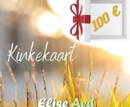 kinkekaart kõrred 100€