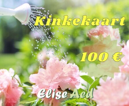 kinkekaart pojengid 100€