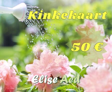 kinkekaart pojengid 50€