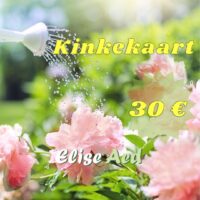 kinkekaart pojengid 30€