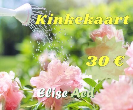 kinkekaart pojengid 30€