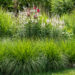 Deschampsia cespitosa, Veronicastrum virginicum `Alba` /luht-kastevars, virgiinia männasmailane