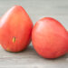 Lycopersicon esculentum `Oxheart` tomat (2)