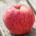 Malus domestica `Koit` õunapuu (3)