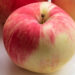 Malus domestica `Melba` õunapuu (2)