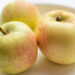 Malus domestica `Liivi kuldrenett` õunapuu