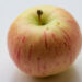 Malus domestica `Lembitu` õunapuu