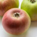 Malus domestica `Liivi sibulõun` õunapuu