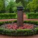 1244_8018_Heucherella_hybrida_Sweet_Tea_.JPG