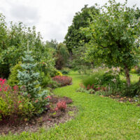 Tehtud tööd Elise Aed