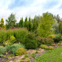 Tehtud tööd Elise Aed