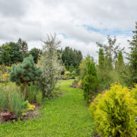 Tehtud tööd Elise Aed