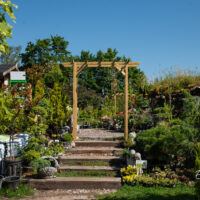 tehtud tööd, Türi taimeplats (6)