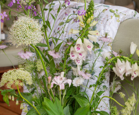 Digitalis ,sõrmkübar (2)