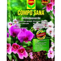 orhideemuld compo