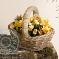 vaas korv sangaga ART 209 V