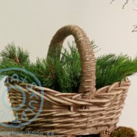 vaas (korv sangaga) ART 208 V