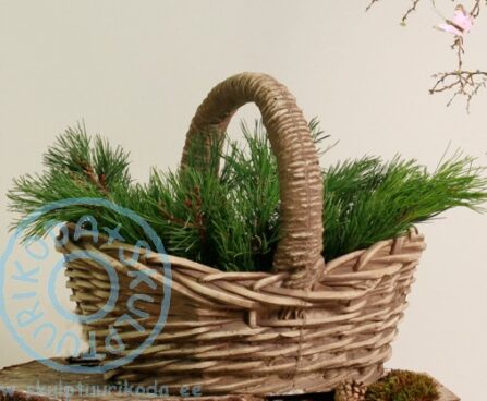 vaas (korv sangaga) ART 208 V