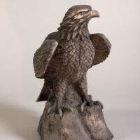 kotkas kännul ART 70