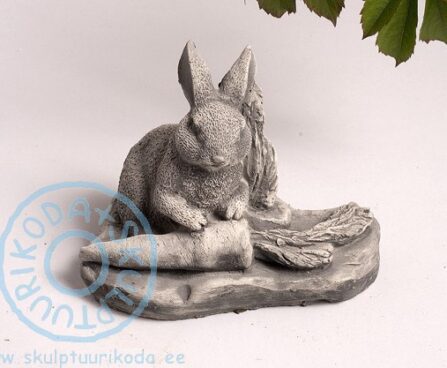 jänes ART 194 2. FOTO