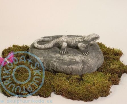 sisalik kivil ART 136 A 2. foto