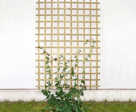 BF_Trellis_1Lillevõre 63×180 cm