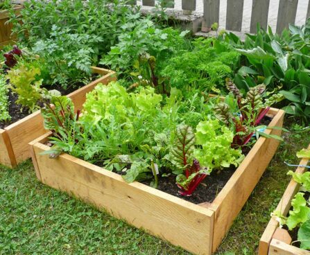 BF-10020_2Peenrakast 70×70×17,5 cm