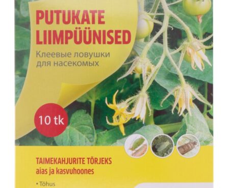 Kollane liimpüünis õue