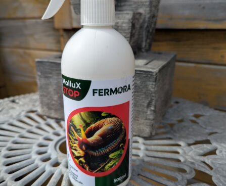Fermora Mollux Stop 500 ml