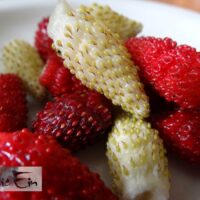 Fragaria vesca var. semperflorenskuumaasika viljad  mix