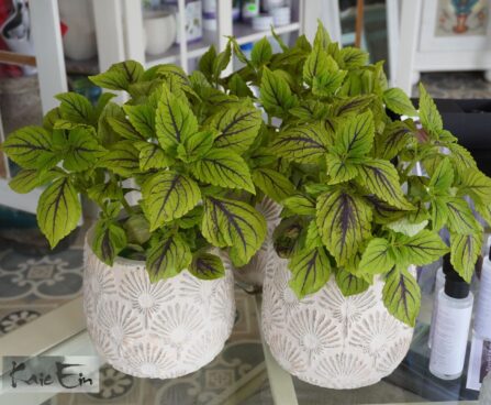 keraamika LaQuemada 18 cm lillemuster