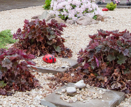 478_8029_Heuchera_micrantha_Palace_Purple.JPG