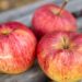 635_9321_Malus_domestica_Paide_talioun_ounapuu_.jpg