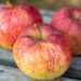 635_9322_Malus_domestica_Paide_talioun_ounapuu.jpg