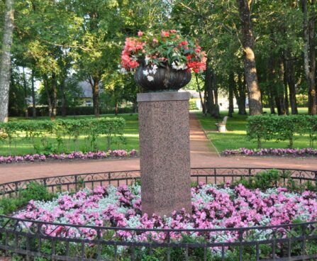 Begoonia, kivikilbik, tehtud tööd