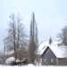 1644_11226_Quercus_robur_Fastigiata__harilik_tamm.jpg
